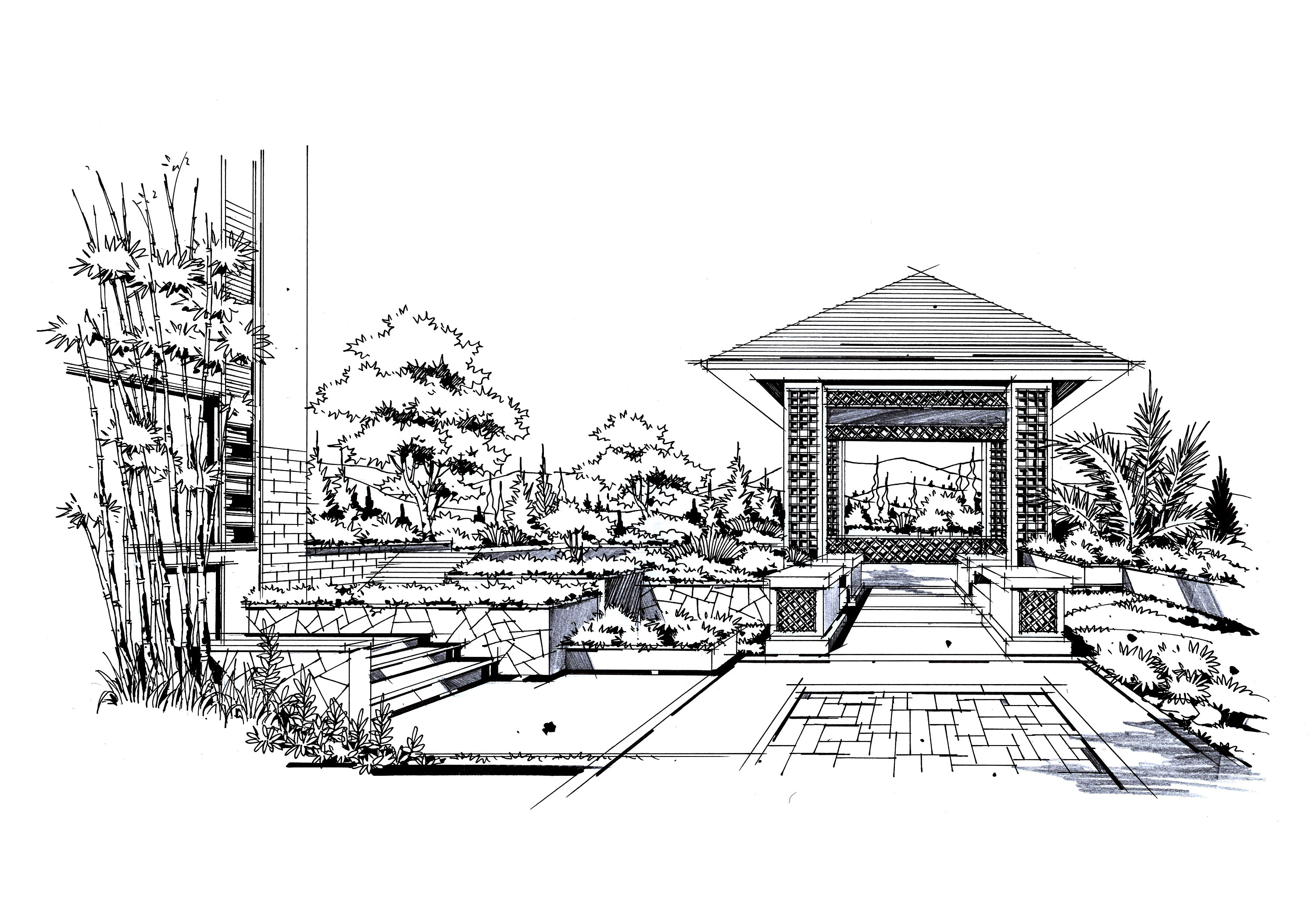 園林景觀手繪|純藝術(shù)|鋼筆畫(huà)|晉繪丨小威 